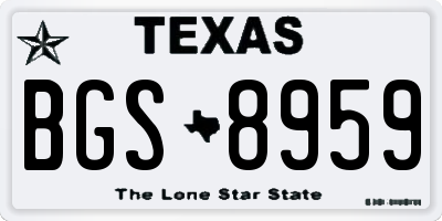 TX license plate BGS8959