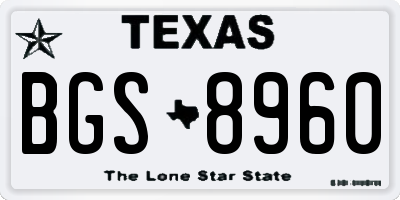 TX license plate BGS8960