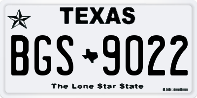 TX license plate BGS9022