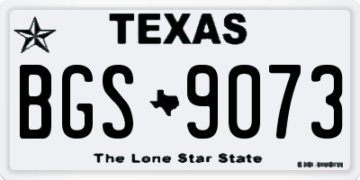 TX license plate BGS9073