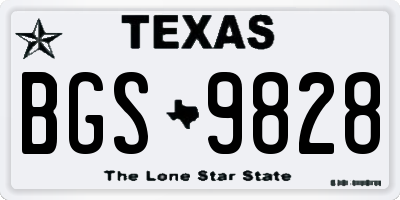 TX license plate BGS9828