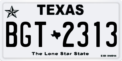 TX license plate BGT2313