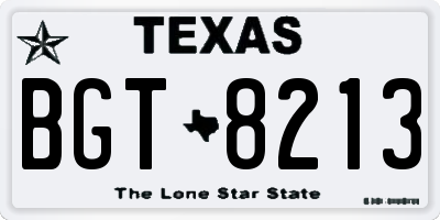 TX license plate BGT8213