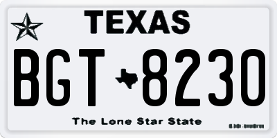 TX license plate BGT8230