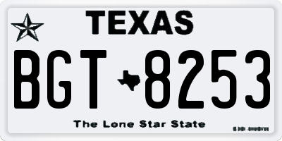 TX license plate BGT8253