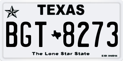 TX license plate BGT8273