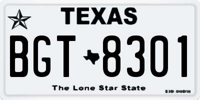 TX license plate BGT8301