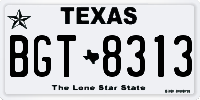 TX license plate BGT8313