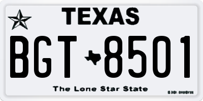 TX license plate BGT8501