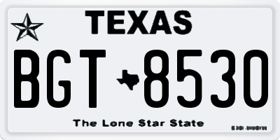 TX license plate BGT8530