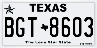 TX license plate BGT8603