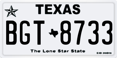 TX license plate BGT8733