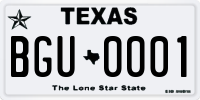 TX license plate BGU0001