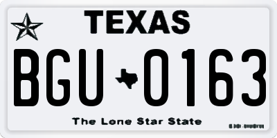 TX license plate BGU0163
