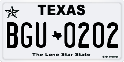 TX license plate BGU0202