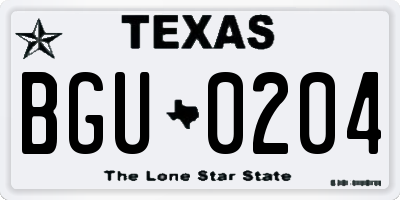 TX license plate BGU0204