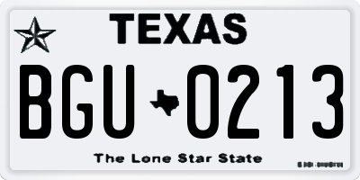 TX license plate BGU0213