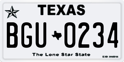 TX license plate BGU0234