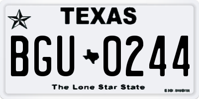 TX license plate BGU0244