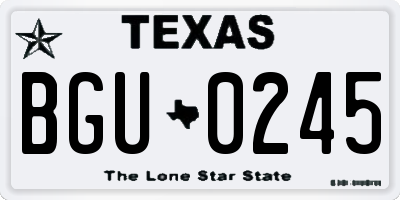 TX license plate BGU0245