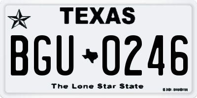TX license plate BGU0246