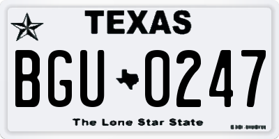 TX license plate BGU0247