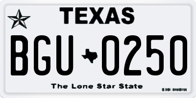 TX license plate BGU0250