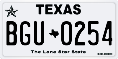 TX license plate BGU0254