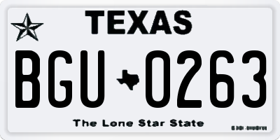 TX license plate BGU0263