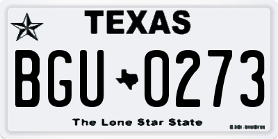 TX license plate BGU0273