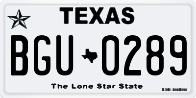 TX license plate BGU0289