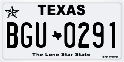 TX license plate BGU0291