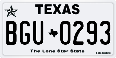 TX license plate BGU0293