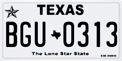 TX license plate BGU0313