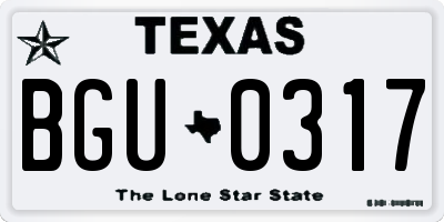 TX license plate BGU0317