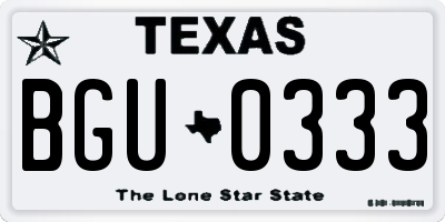 TX license plate BGU0333