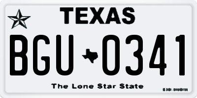 TX license plate BGU0341