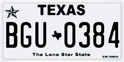 TX license plate BGU0384