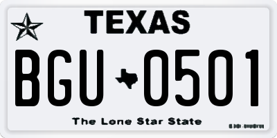 TX license plate BGU0501