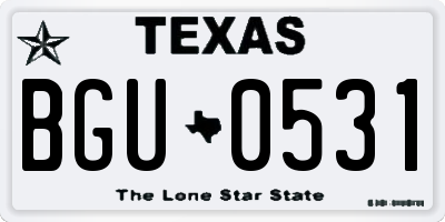 TX license plate BGU0531