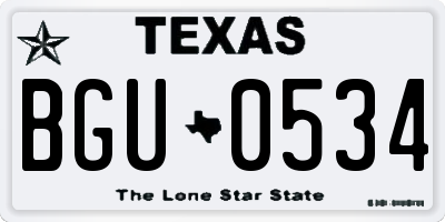 TX license plate BGU0534