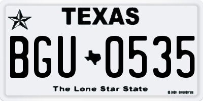 TX license plate BGU0535