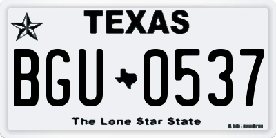 TX license plate BGU0537