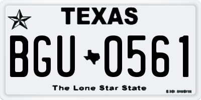 TX license plate BGU0561