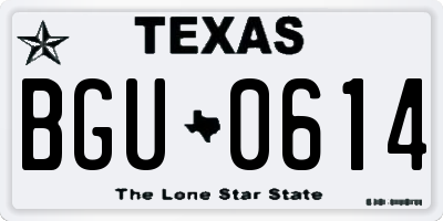 TX license plate BGU0614