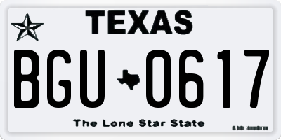 TX license plate BGU0617