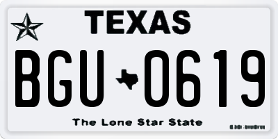 TX license plate BGU0619