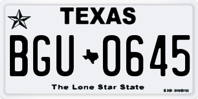 TX license plate BGU0645