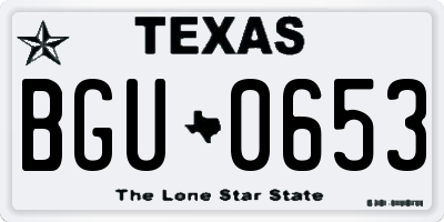 TX license plate BGU0653