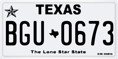 TX license plate BGU0673